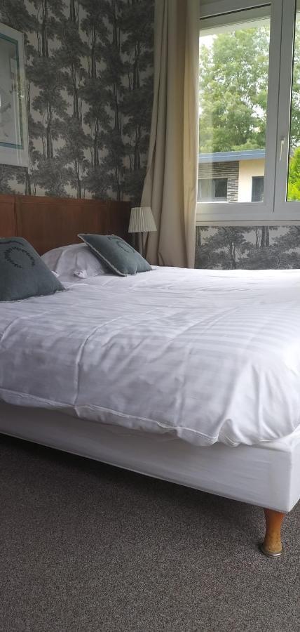 Hotel Le Rivage Olivet  Eksteriør bilde